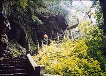 宁波天童国家森林公园