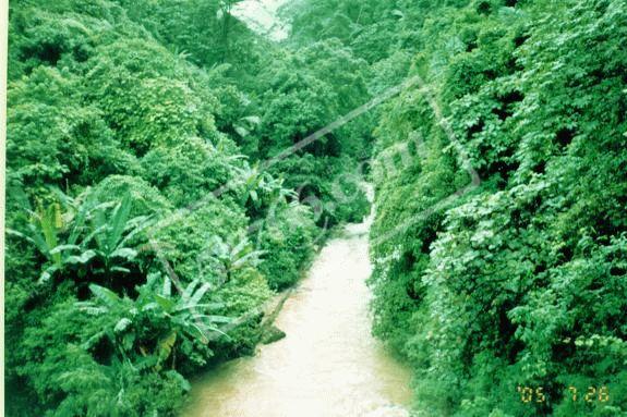 红河个旧绿水河热带雨林旅游度假区